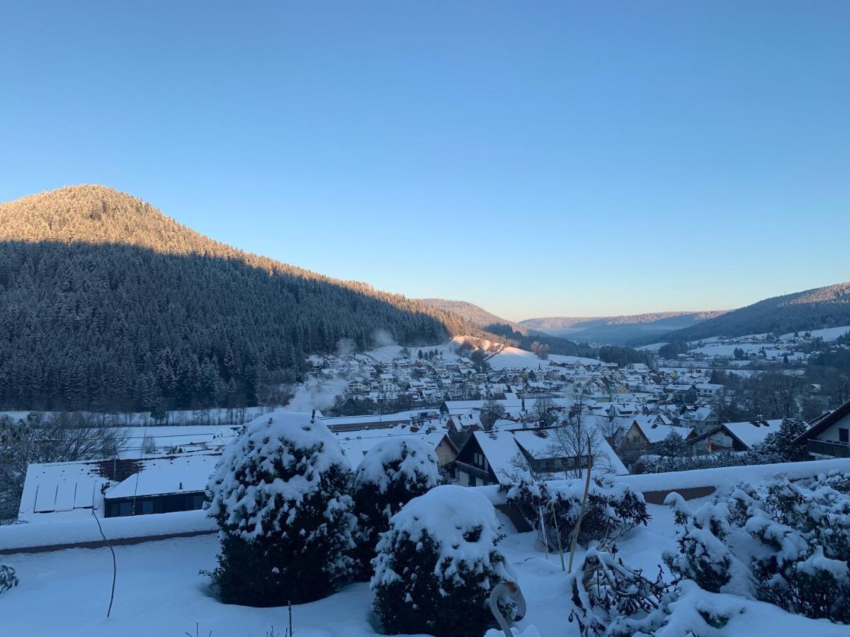 Appartement Mit Herrlicher Aussicht Uebers Murgtal Baiersbronn Extérieur photo
